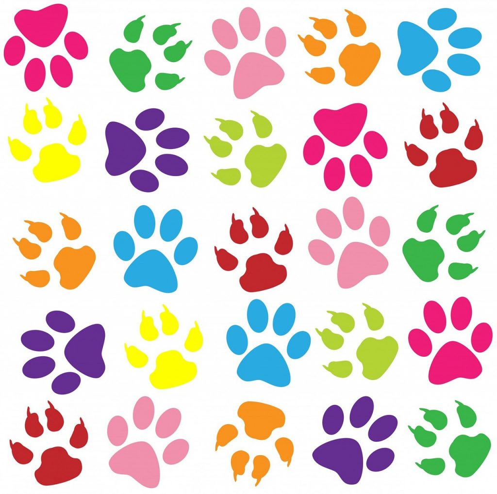 ペット 犬 猫 足跡